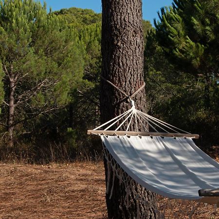Monte Horizonte - The Private Villas - Eco & Nature (Adults Only) Santiago do Cacém Buitenkant foto