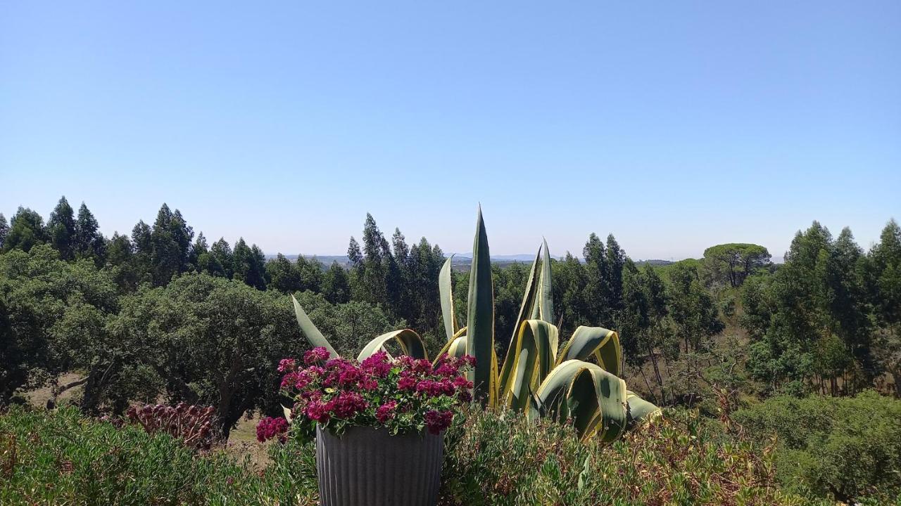 Monte Horizonte - The Private Villas - Eco & Nature (Adults Only) Santiago do Cacém Buitenkant foto