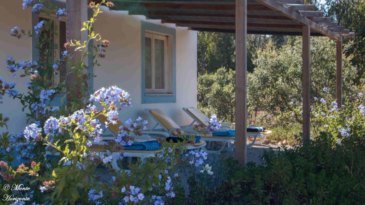 Monte Horizonte - The Private Villas - Eco & Nature (Adults Only) Santiago do Cacém Buitenkant foto