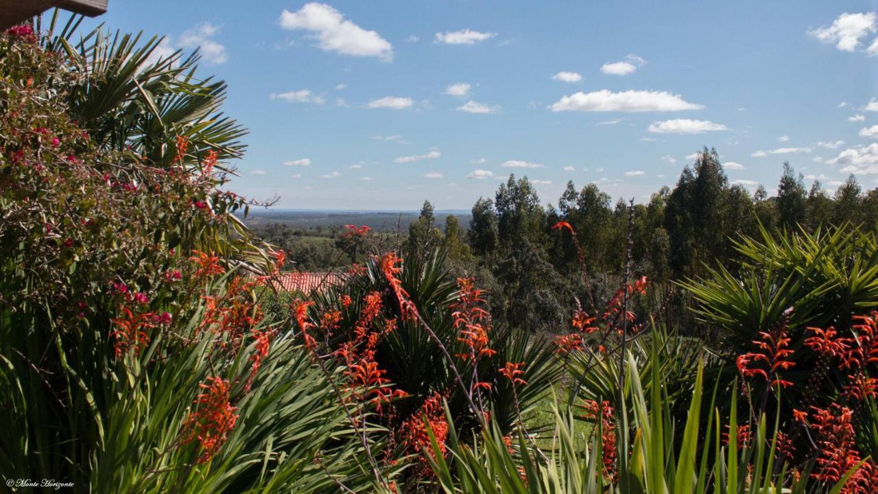 Monte Horizonte - The Private Villas - Eco & Nature (Adults Only) Santiago do Cacém Buitenkant foto